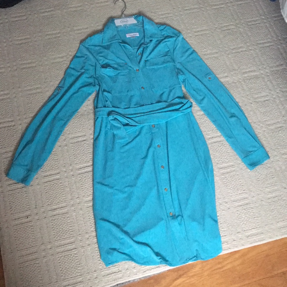Calvin Klein Blue Button up Dress